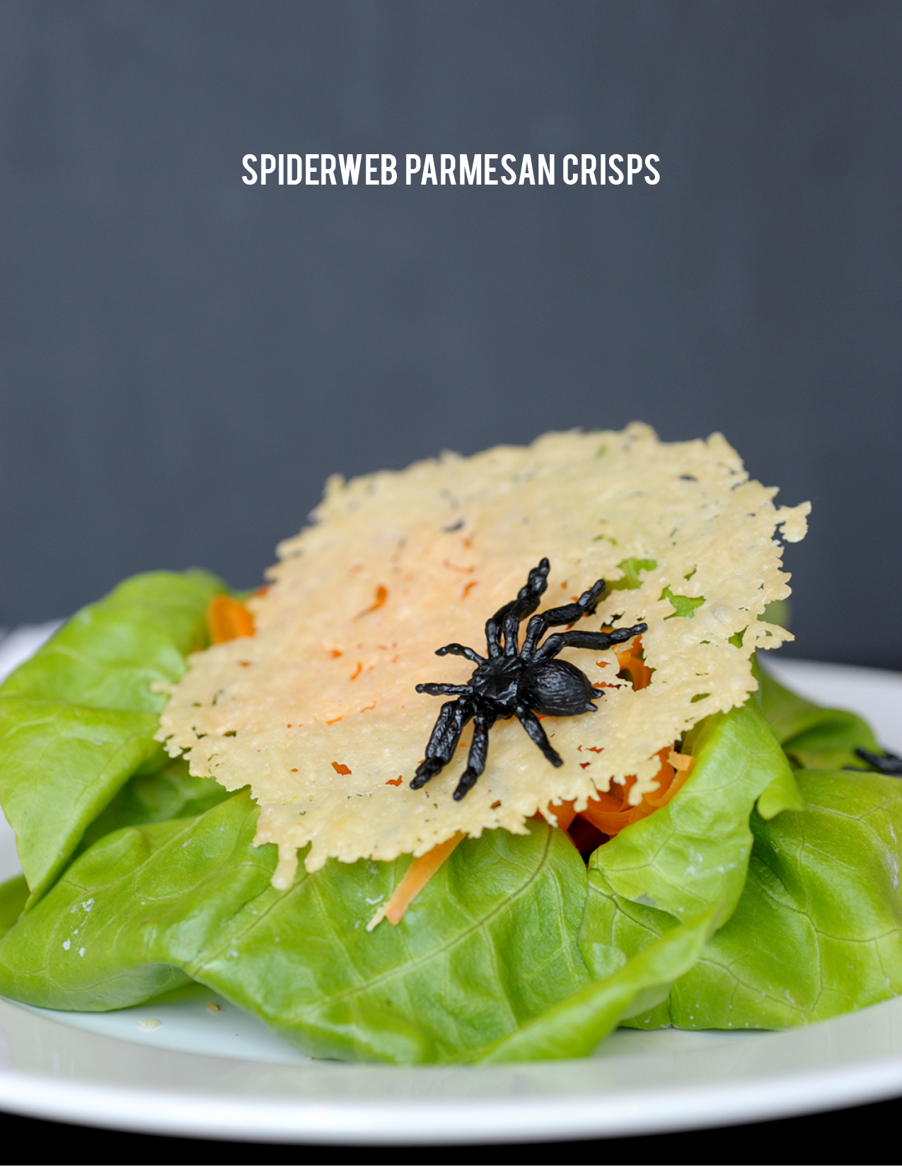Halloween Spiderweb Parmesan Crisps