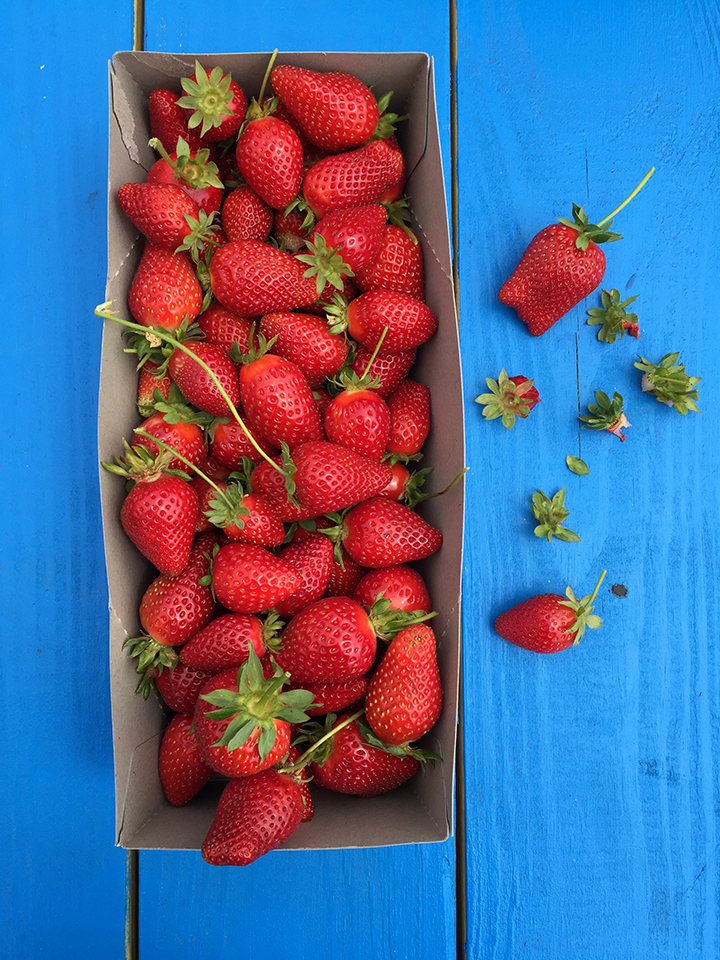 Strawberry Picking on the California Coast