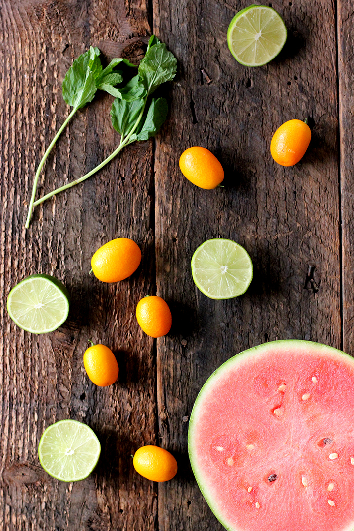 Watermelon Margarita Recipe on alice & lois