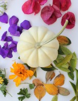 DIY Decoupage Flower Pumpkins