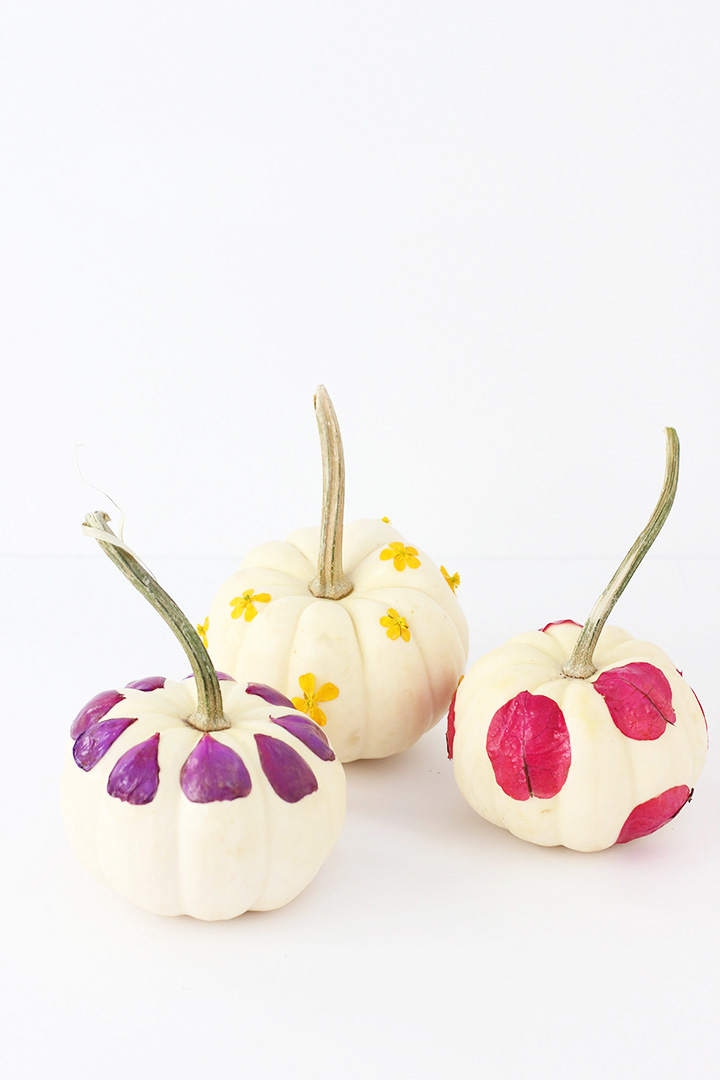 Floral decoupage pumpkins from Alice & Lois