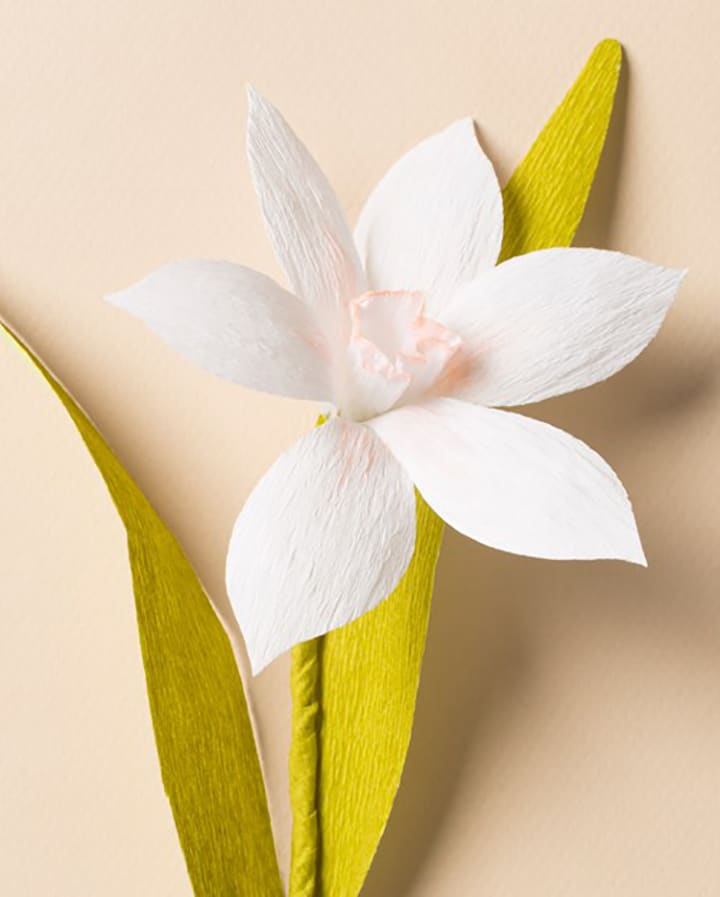 DIY paper narcissus flower