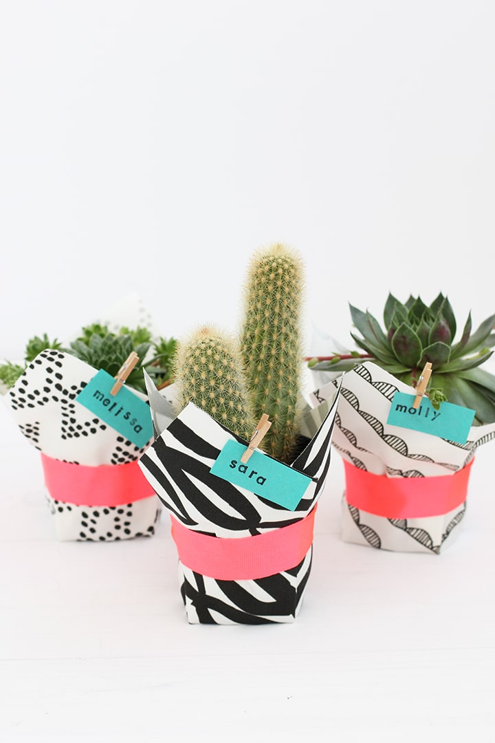 DIY Fabric Wrapped Succulent | alice & lois