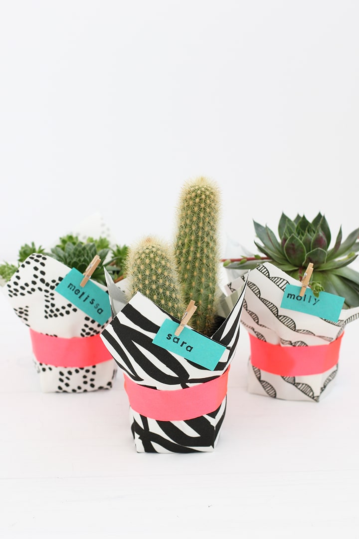 https://cdn.aliceandlois.com/wp-content/uploads/2016/04/al-diy-fabric-wrapped-succulent-4.jpg