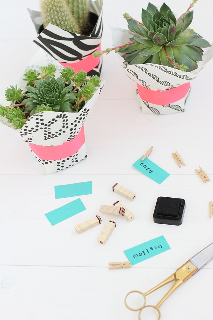 Simple Painted Pots for plants - Alice and Lois