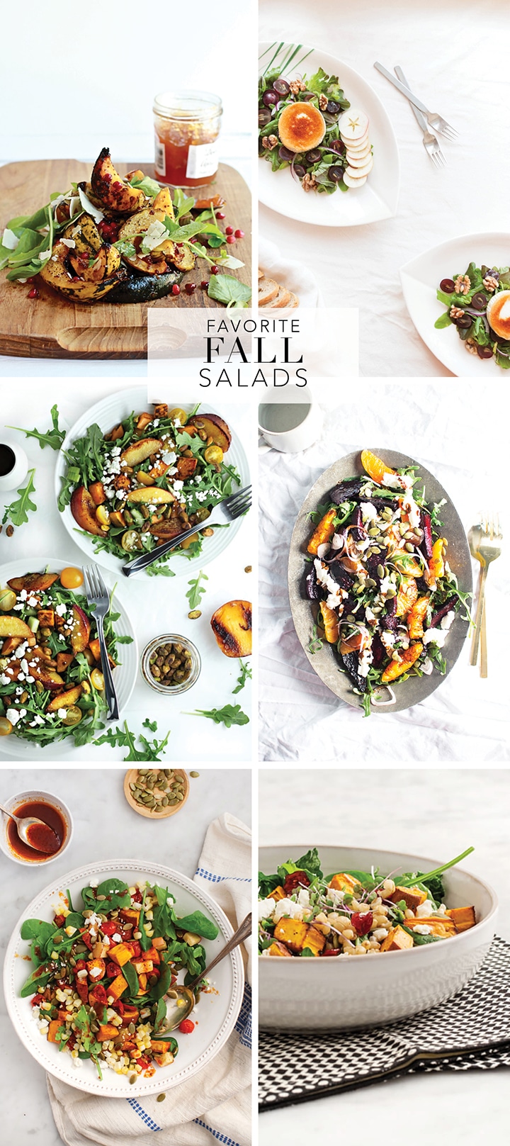 A roundup of ten amazing fall salad recipes to try...