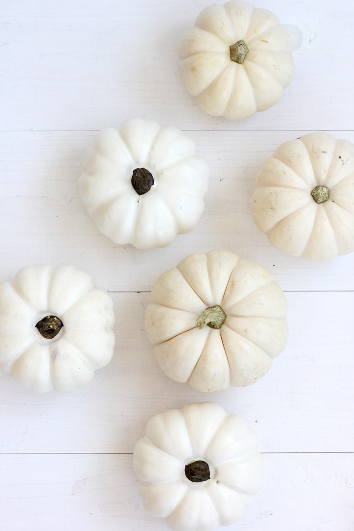 DIY Marbled Indigo Pumpkins