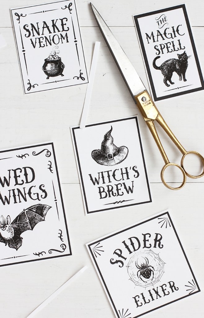 Halloween Potions Labels Free Printable - Alice and Lois