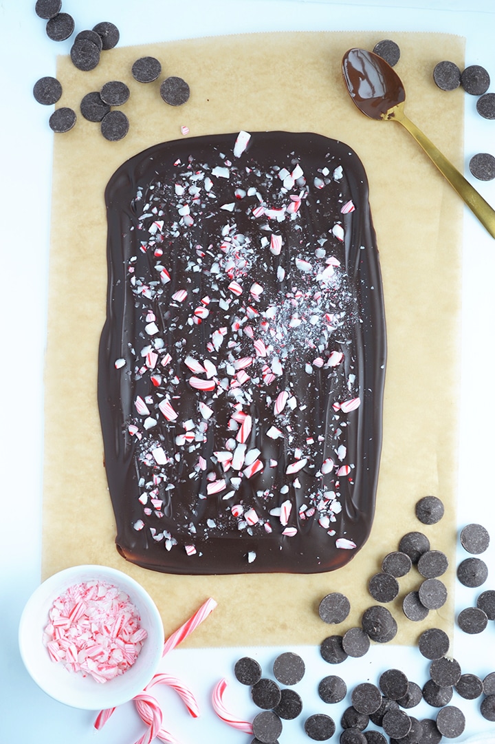 Make this delicious Dark Chocolate Peppermint Bark for the holidays. It's the easiest recipe ever!