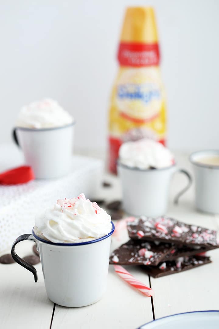 Our favorite Dark Chocolate Peppermint Bark Recipe for the holidays!