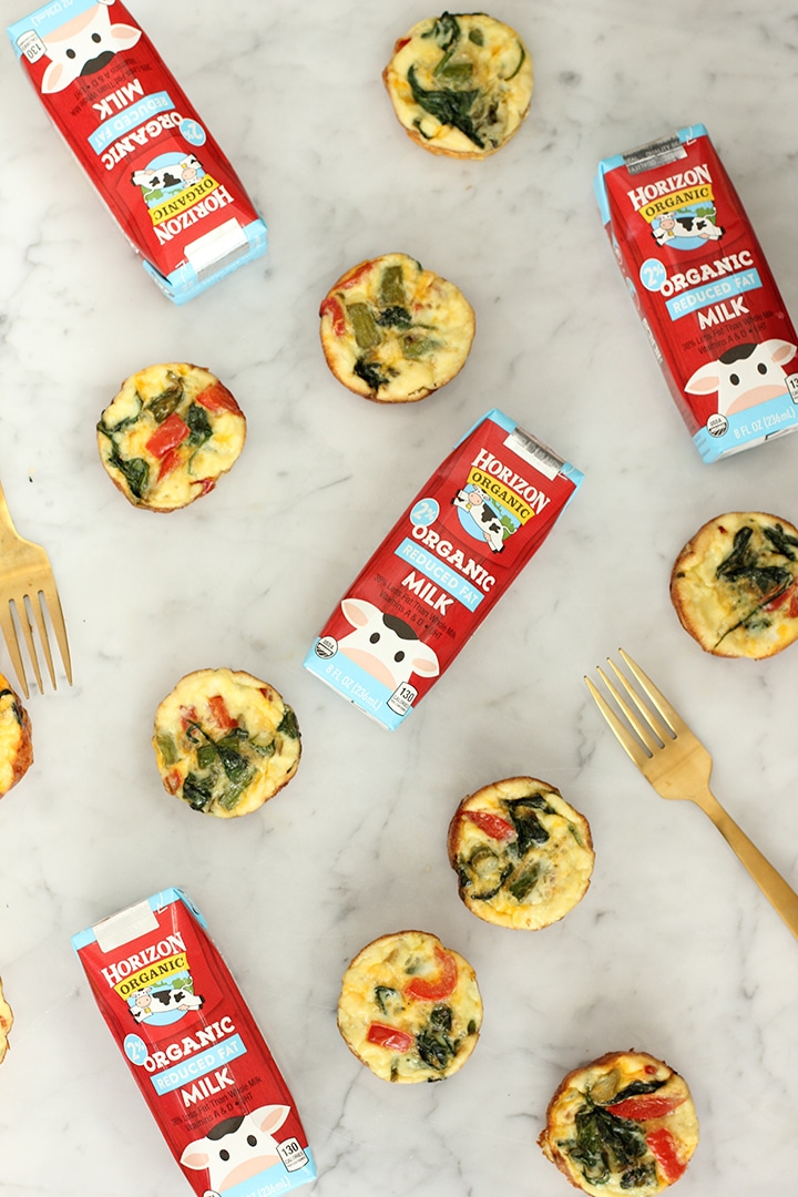 Easy Frittata Muffin Recipe for those busy mornings!