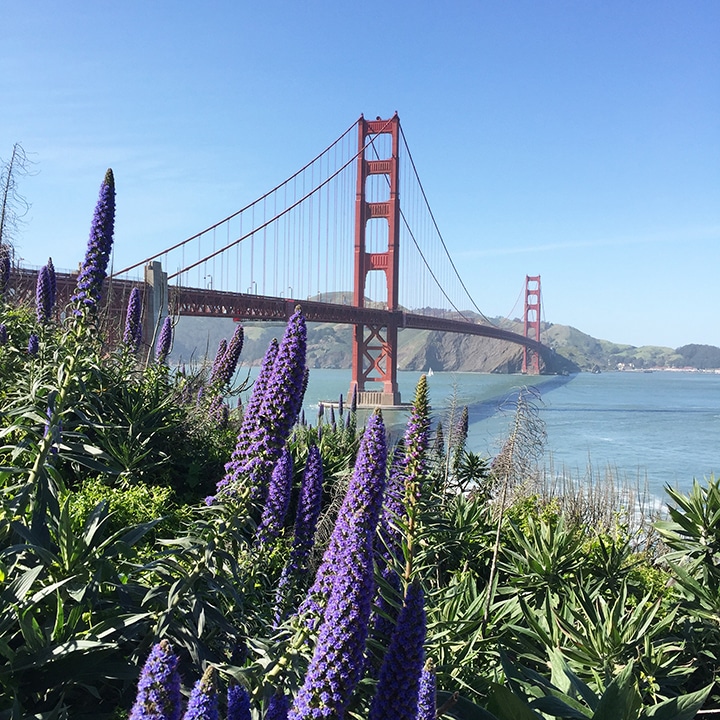 A love letter to San Francisco