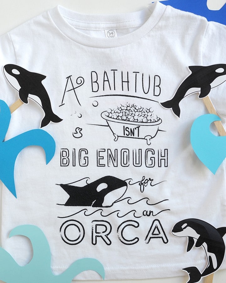 Munchkin and Project Orca – an initiative to protect orcas