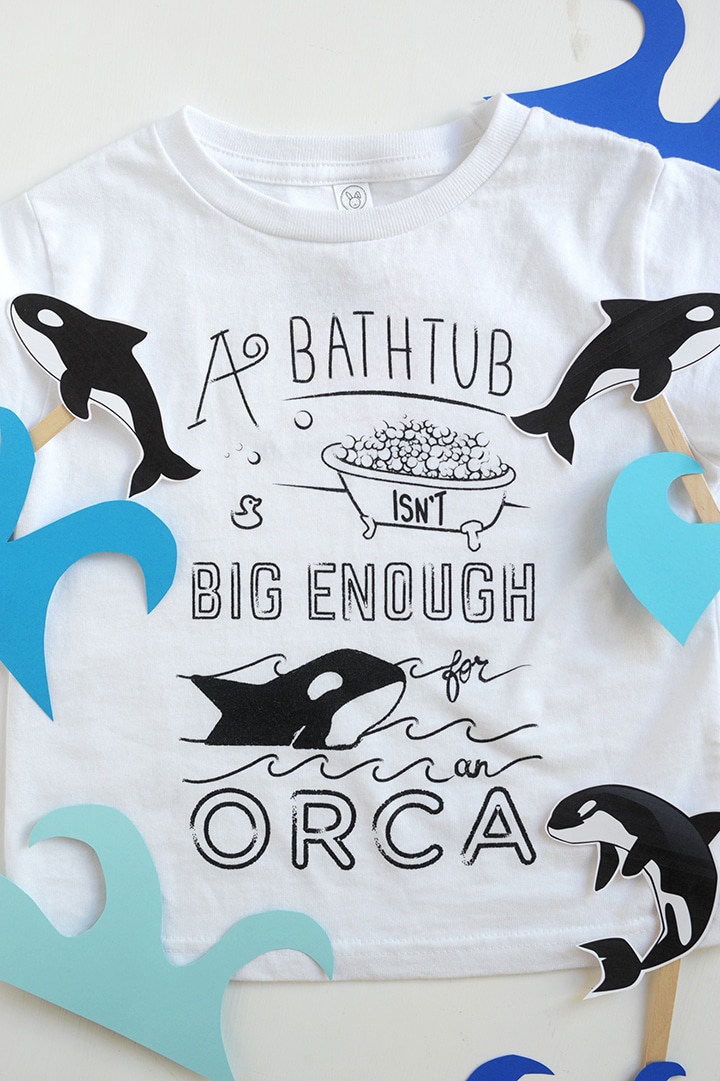Munchkin and Project Orca – an initiative to protect orcas 