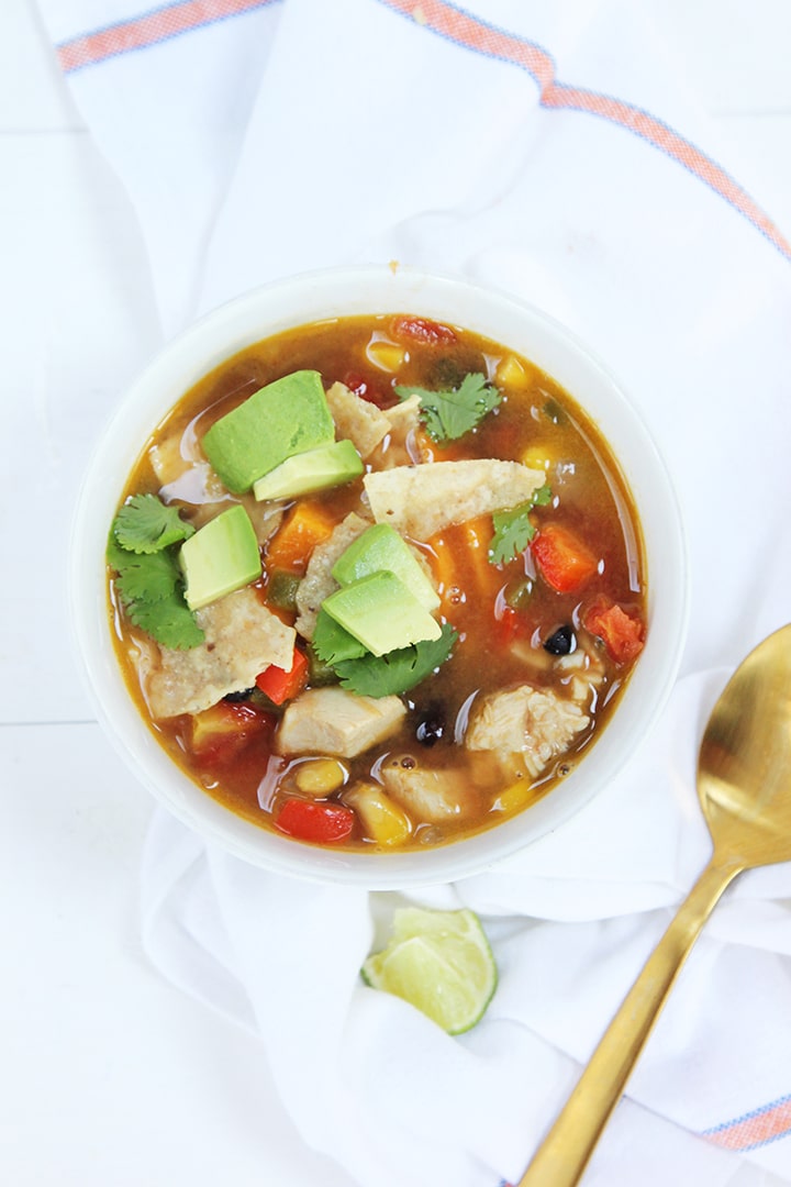 Southwestern Chicken Soup Recipe - Alice and Lois