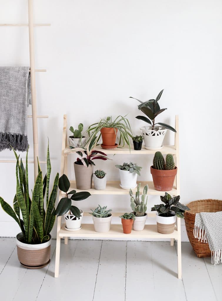 favorite DIY plant projects