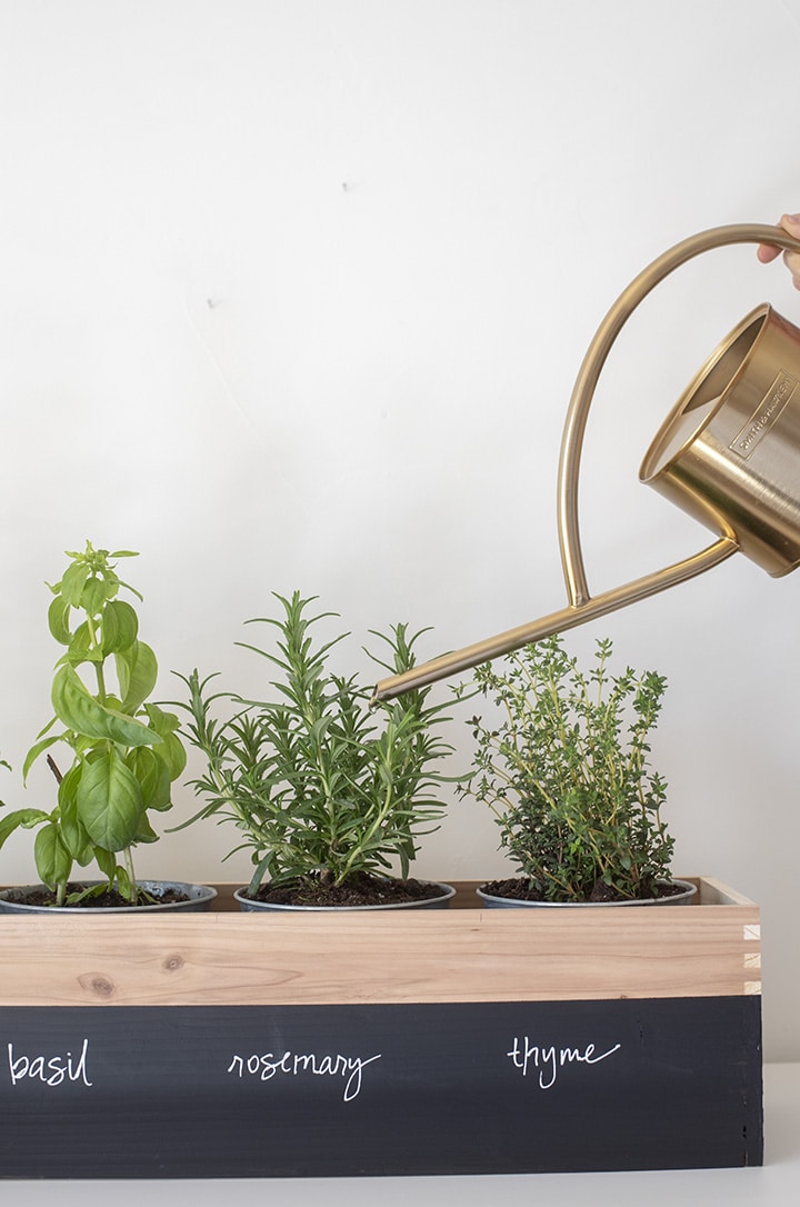 DIY Herb Garden Planter