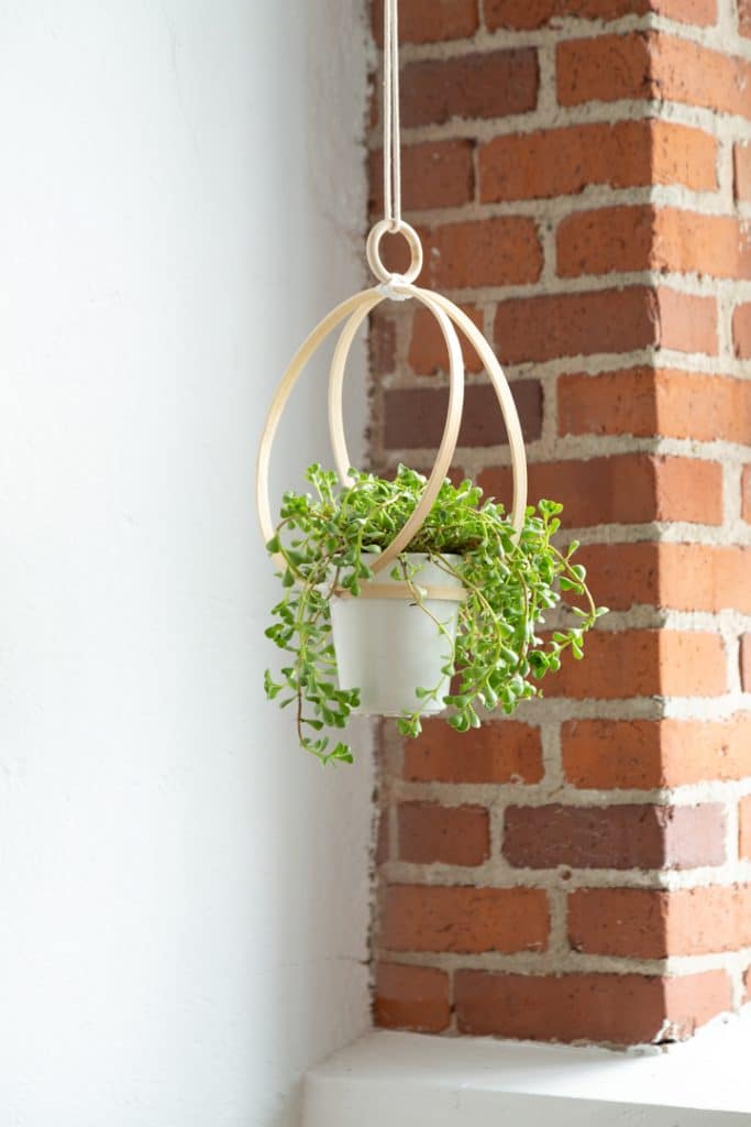 DIY Embroidery Hoop Hanging Planter #DIY #plants #hangingplanter #planter #crafts
