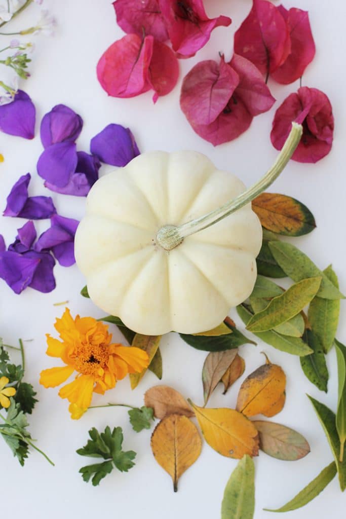 Decoupage pumpkins with flower petals #halloween #decoupage
