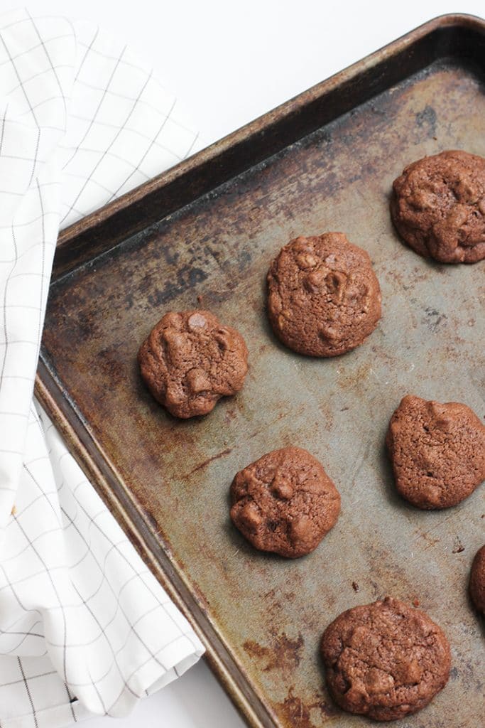 Double Chocolate Cookie Recipe