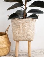 DIY Basket Plant Stand
