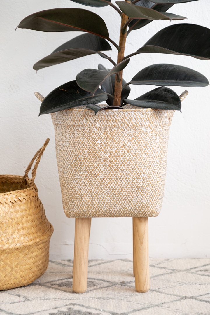 DIY Basket Plant Stand