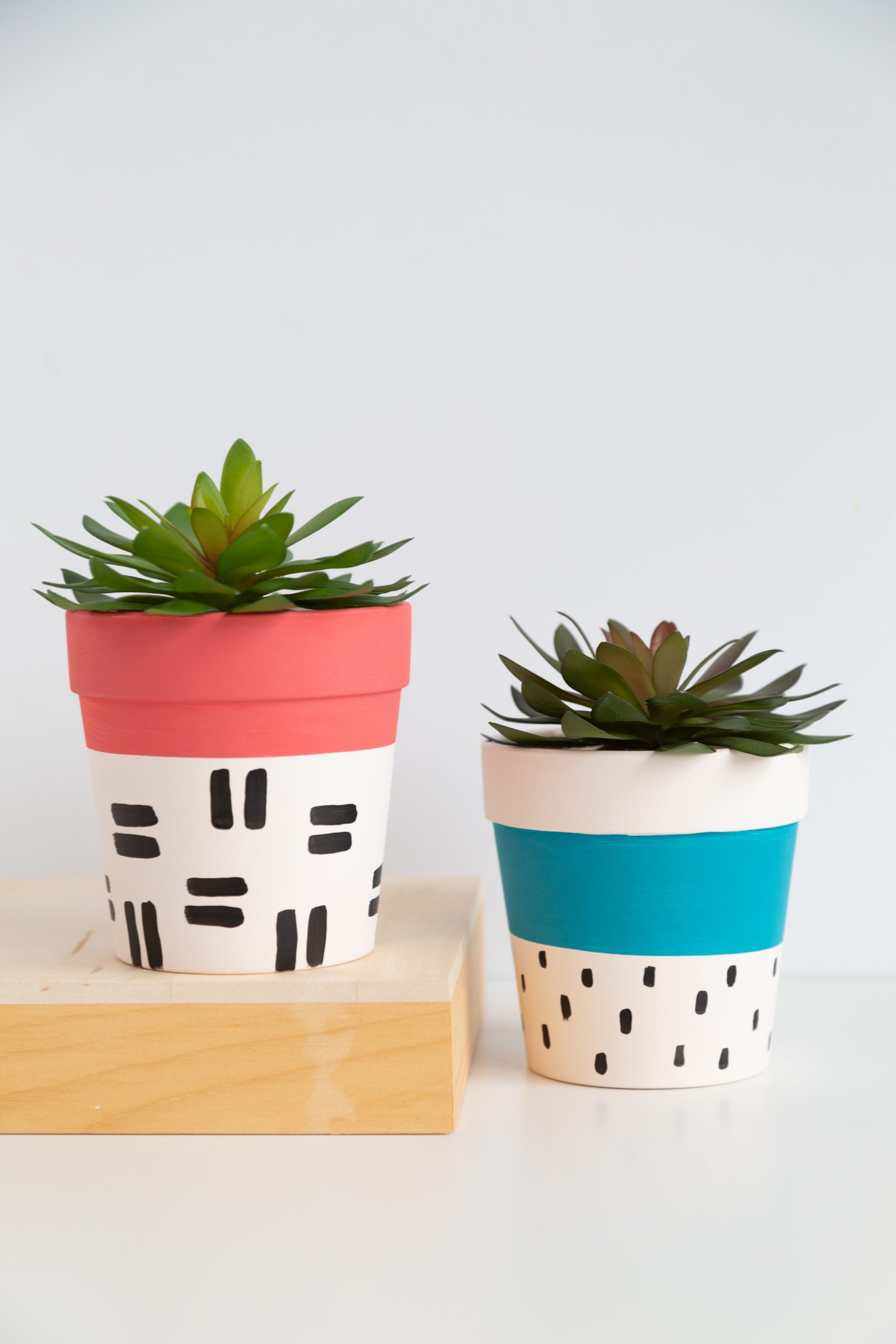 Simple Painted Pots for plants - Alice and Lois